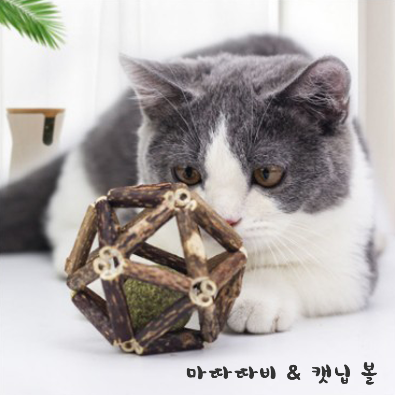 고양이장난감 - 마따따비 &amp; 캣닙 볼