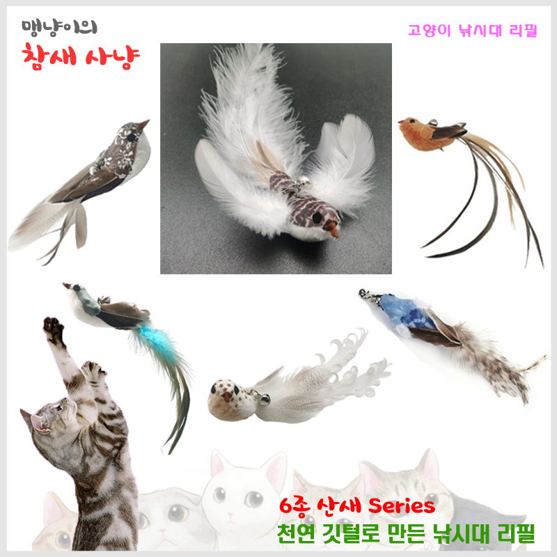 고양이 낚시대 리필 - 천연깃털 산새 리필 Series