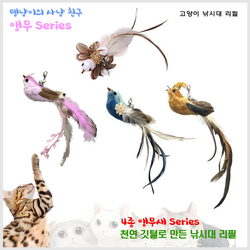 고양이 낚시대 리필 - 천연깃털 왕관 앵무새 리필 Series